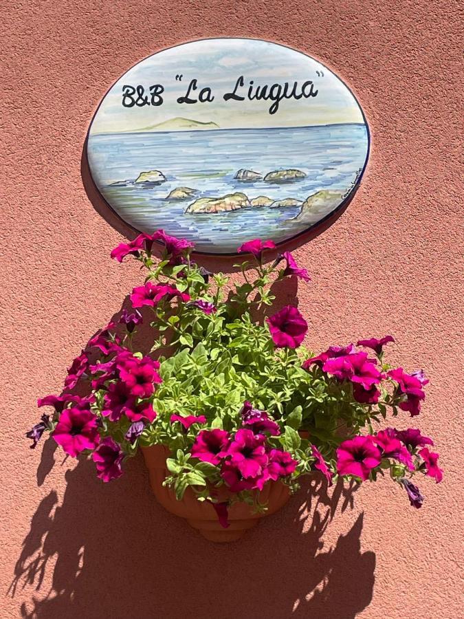 La Lingua Bed and breakfast